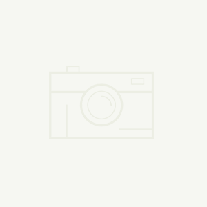 仿其形，更铸其魂——明日生仿站开发，为您定制不设限的品牌网站